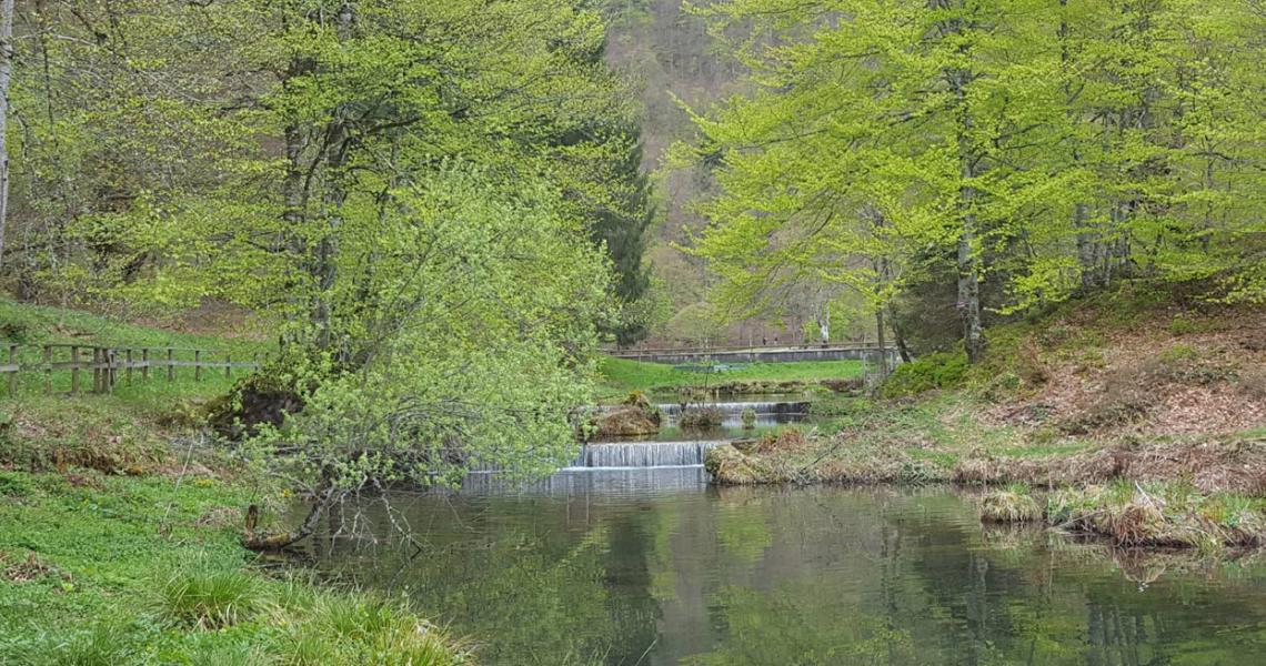 Bethmale Pond