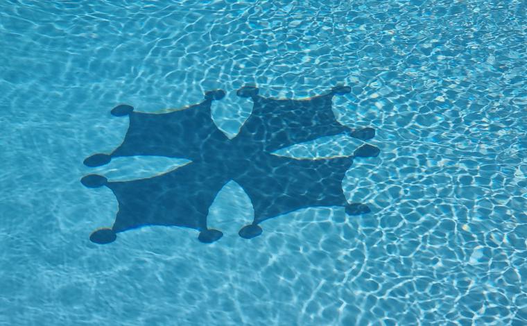 Heated Pool